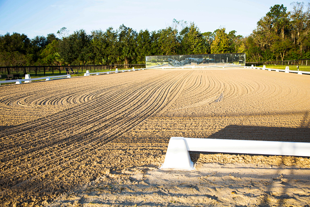 Dressage Arena